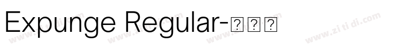 Expunge Regular字体转换